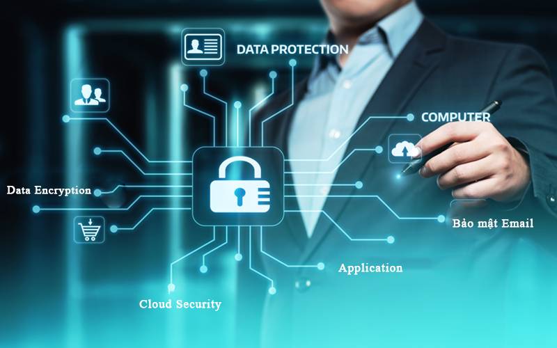 Thông tin do người chơi cung cấp cho website